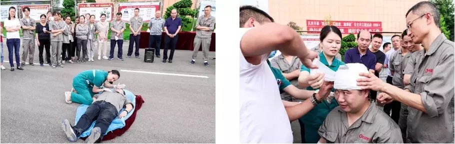 UED官方(中国区)唯一官方网站